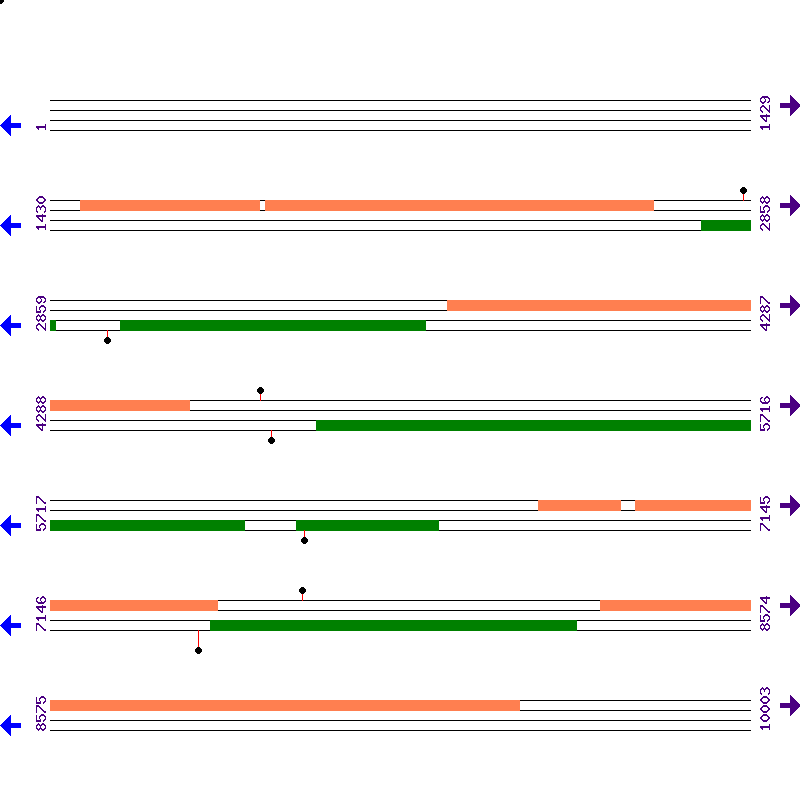 Genome View