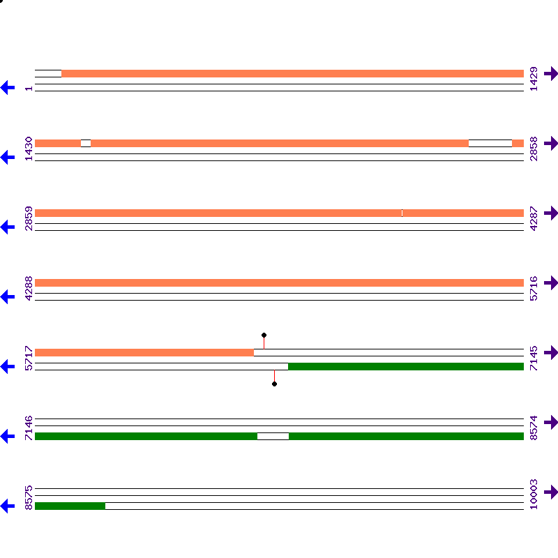Genome View