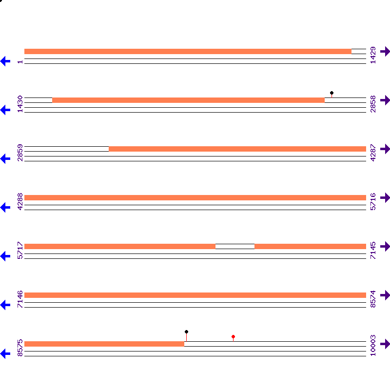 Genome View