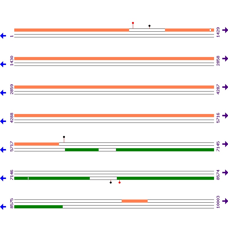 Genome View