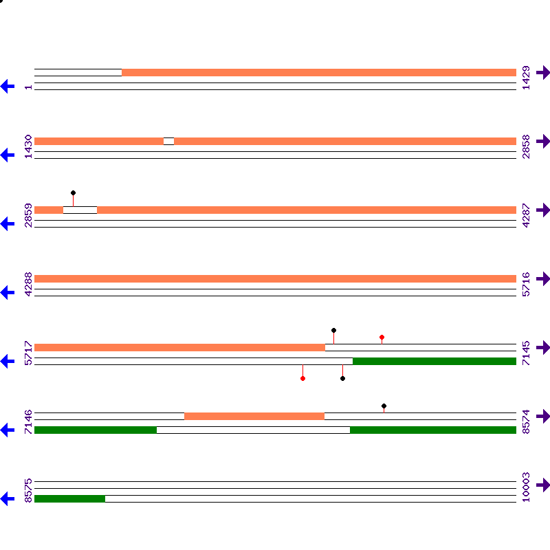 Genome View