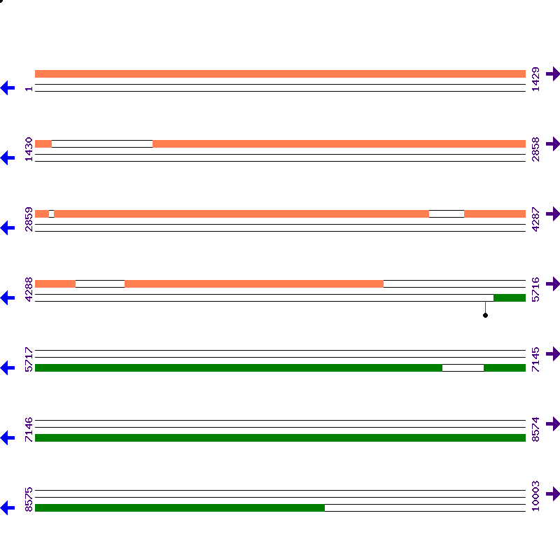 Genome View