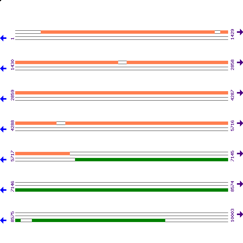 Genome View
