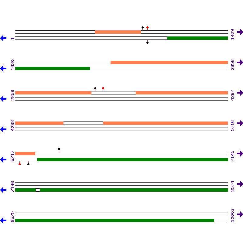 Genome View