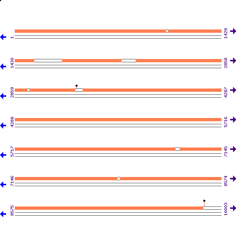 Genome View