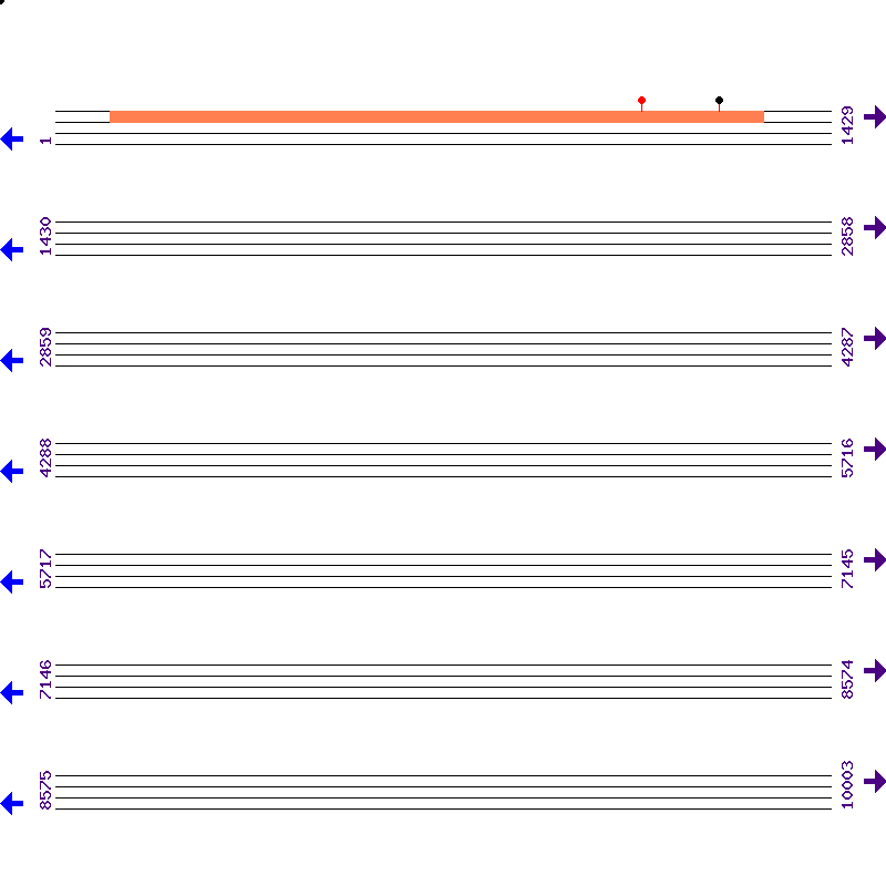 Genome View