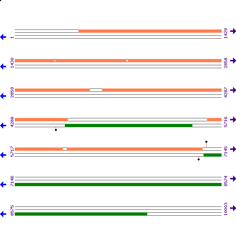 Genome View