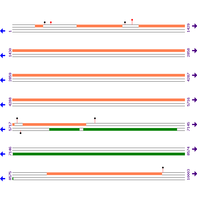 Genome View