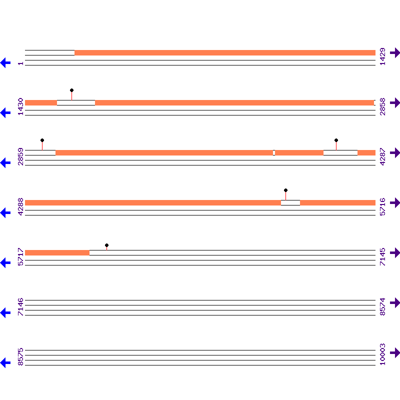 Genome View