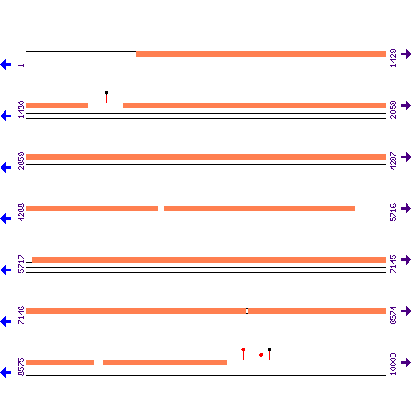 Genome View