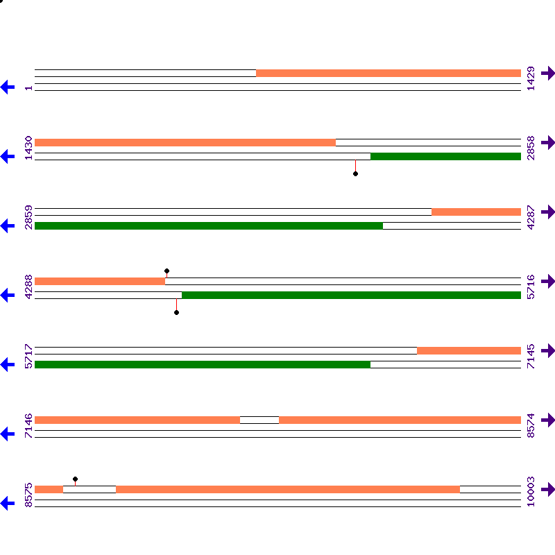 Genome View
