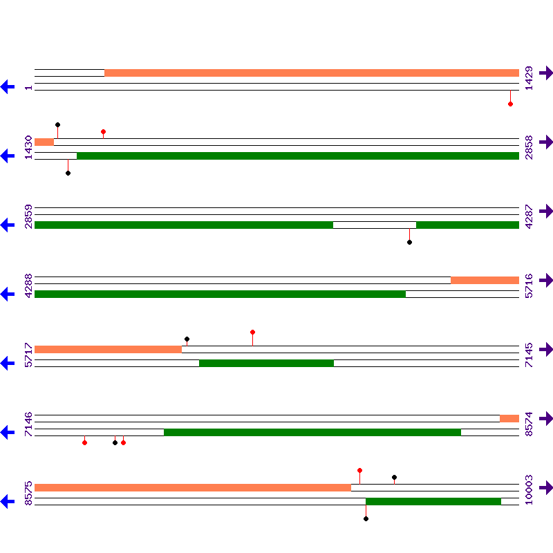 Genome View