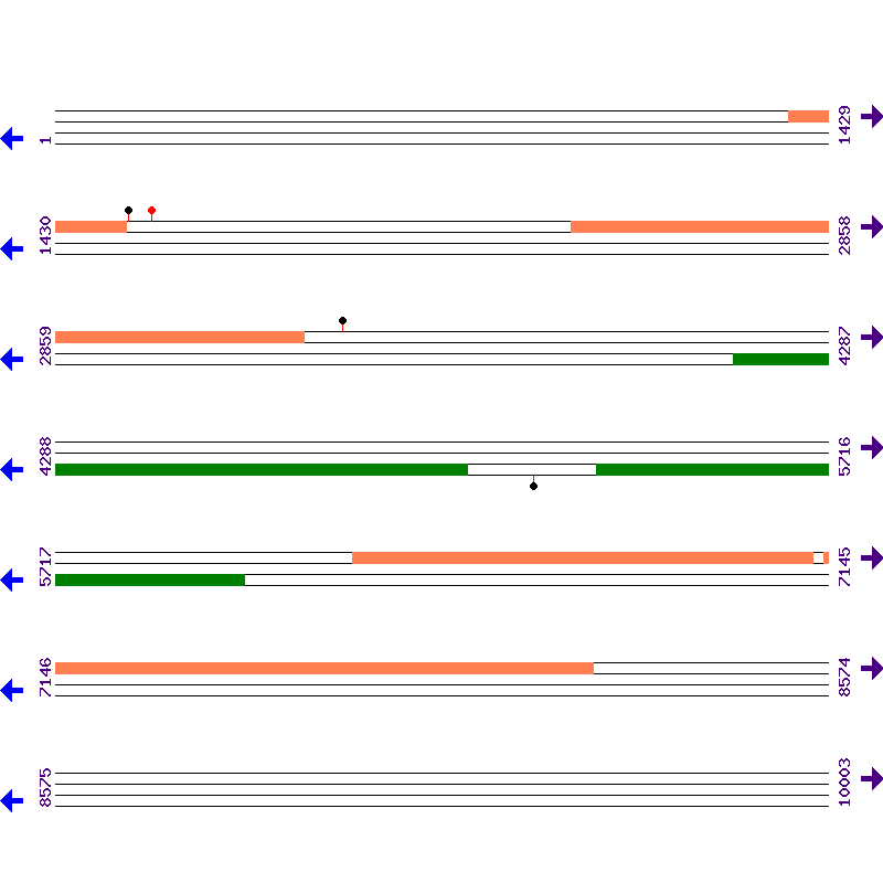 Genome View