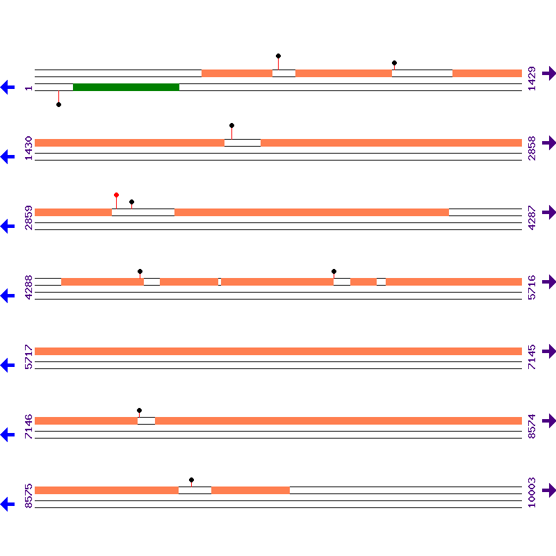 Genome View