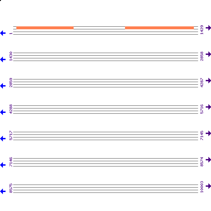 Genome View