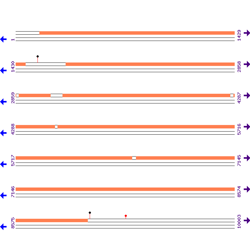 Genome View