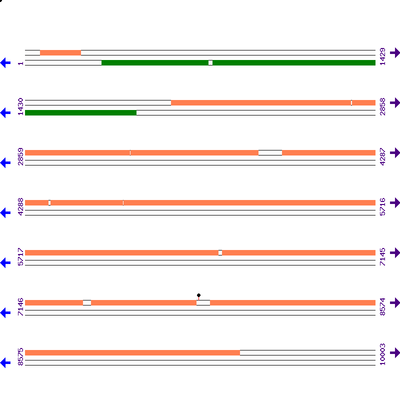 Genome View