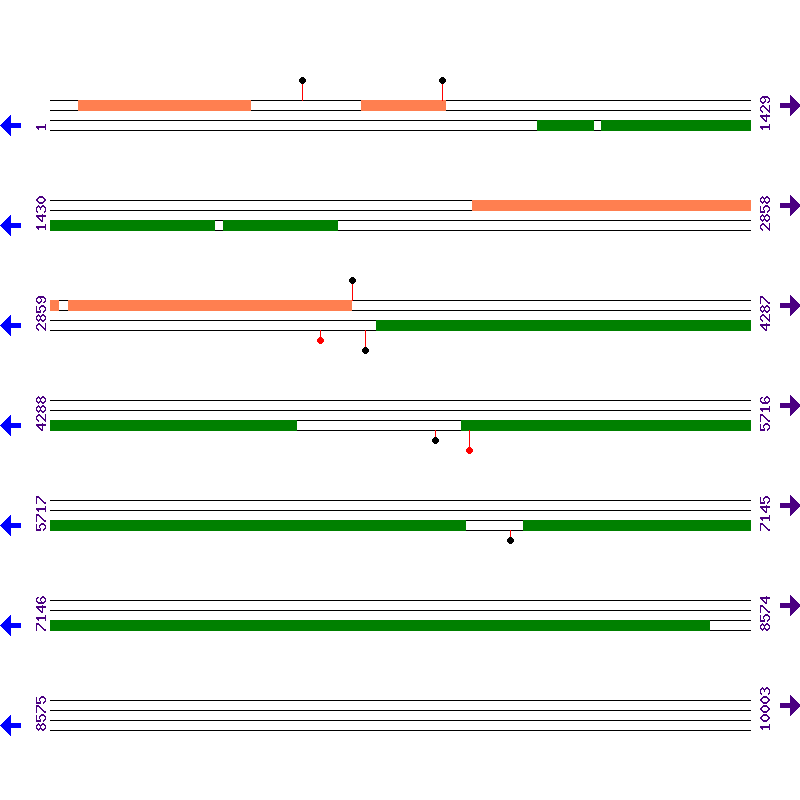 Genome View