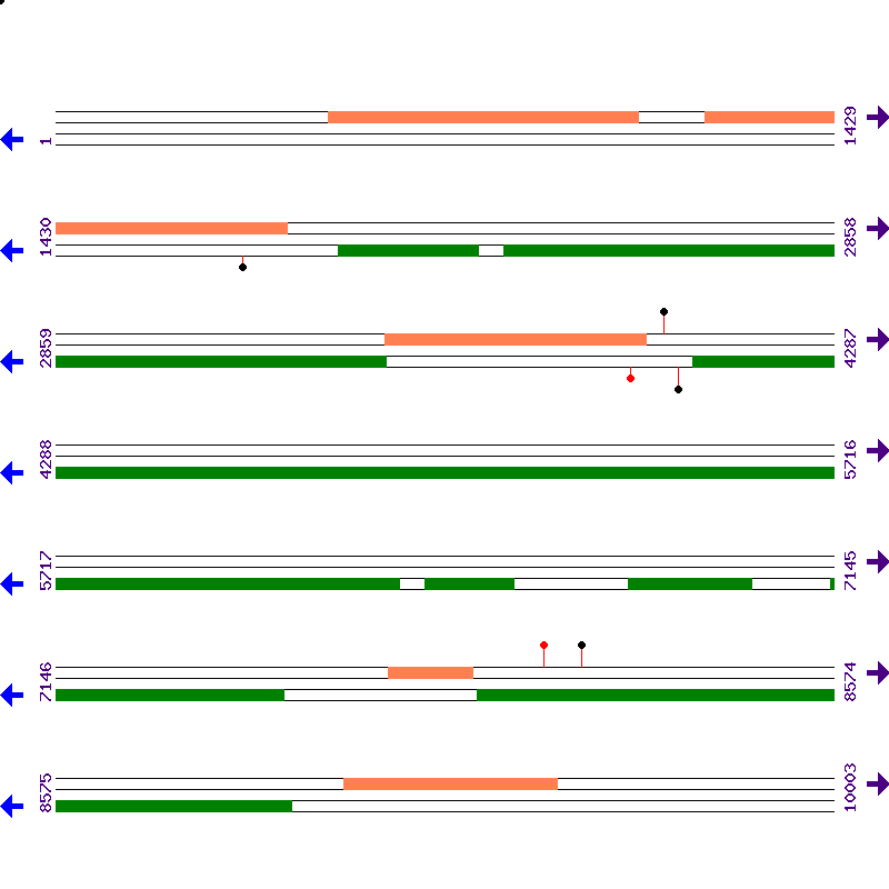 Genome View