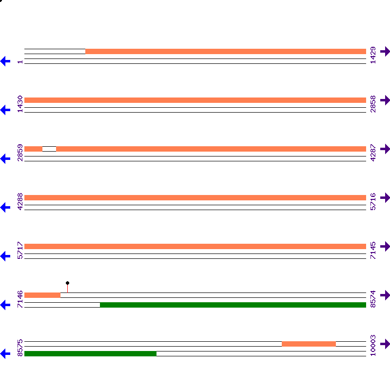 Genome View
