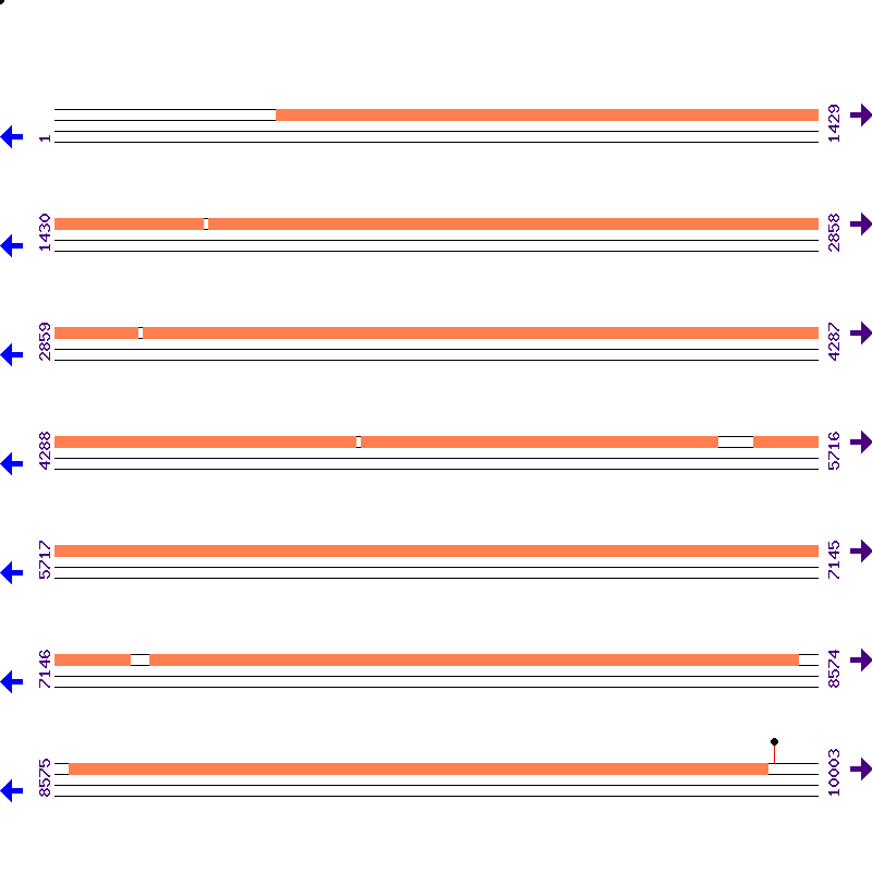 Genome View