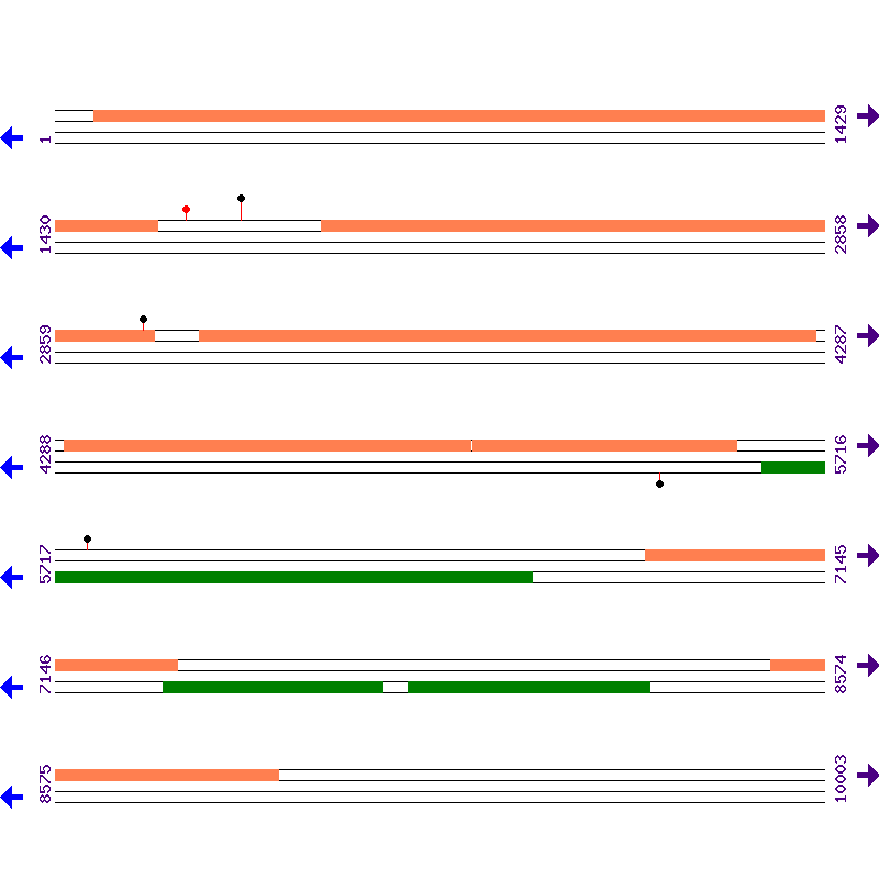 Genome View