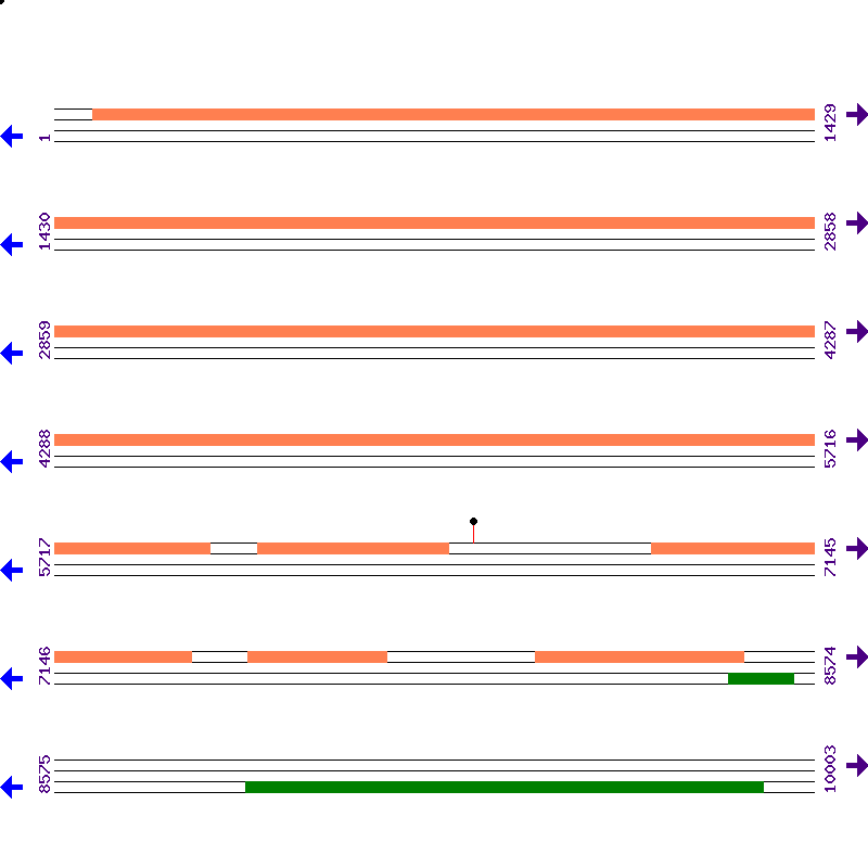 Genome View