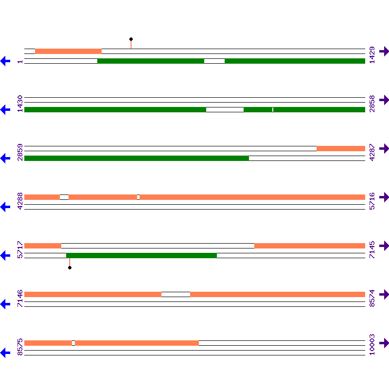Genome View