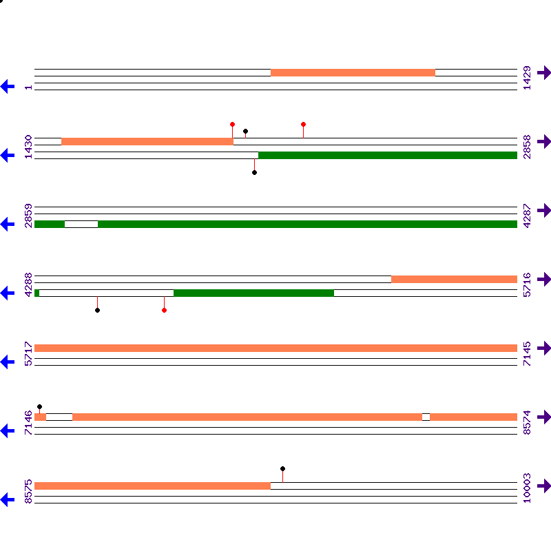 Genome View