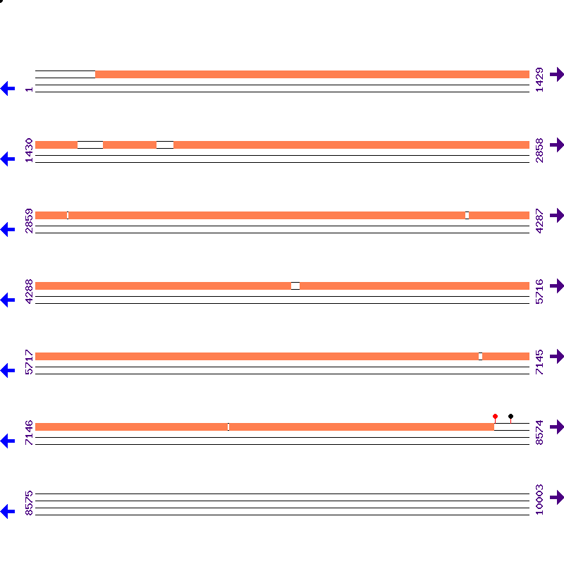 Genome View