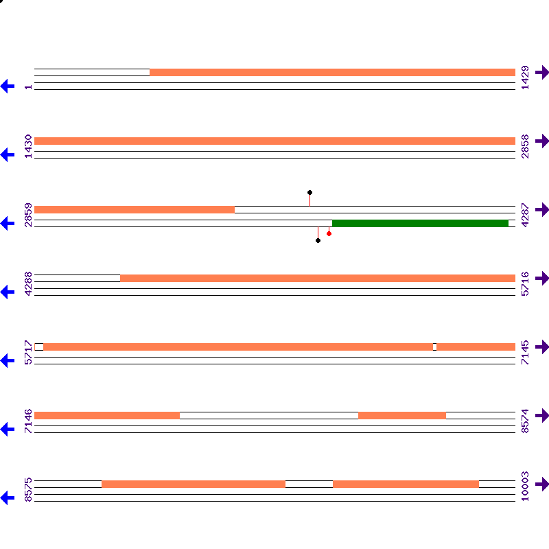 Genome View