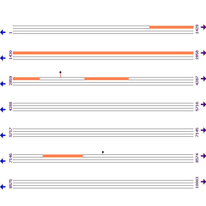 Genome View