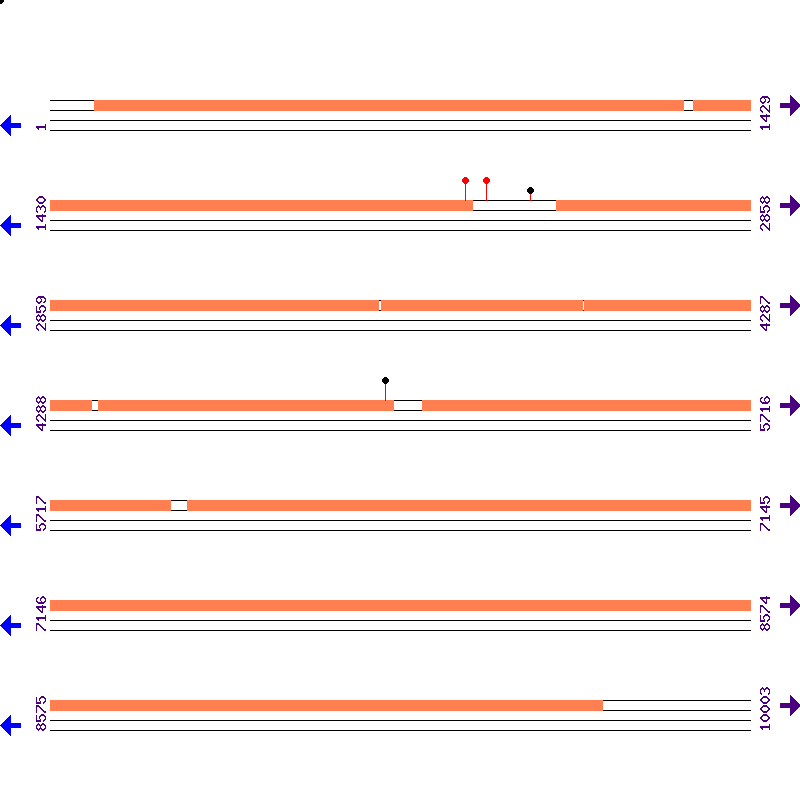 Genome View