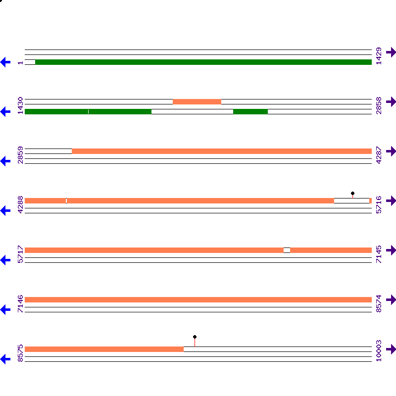 Genome View