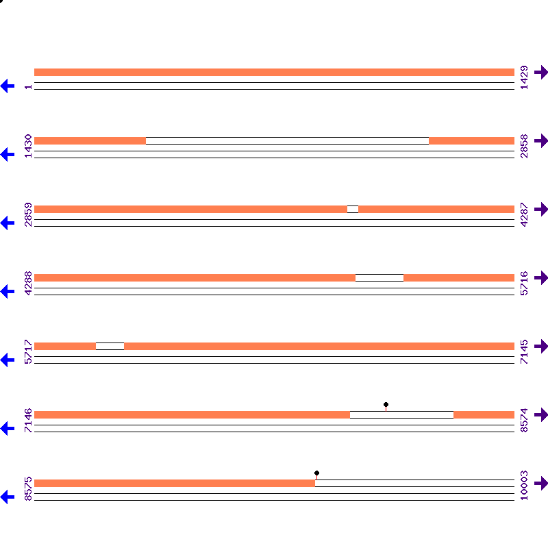 Genome View