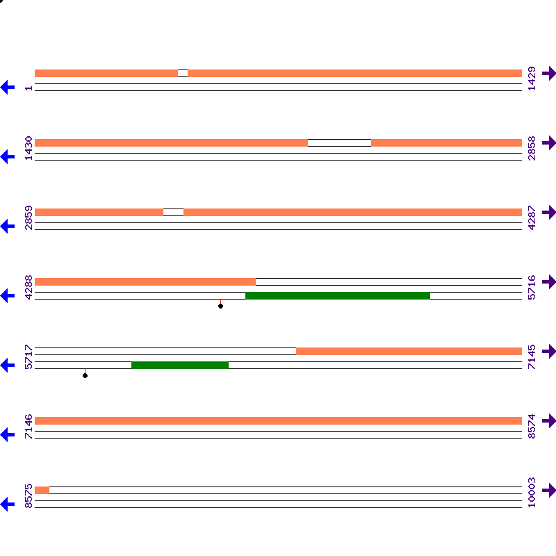 Genome View