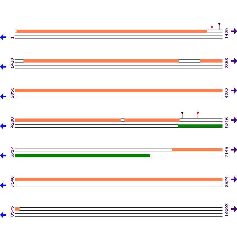Genome View