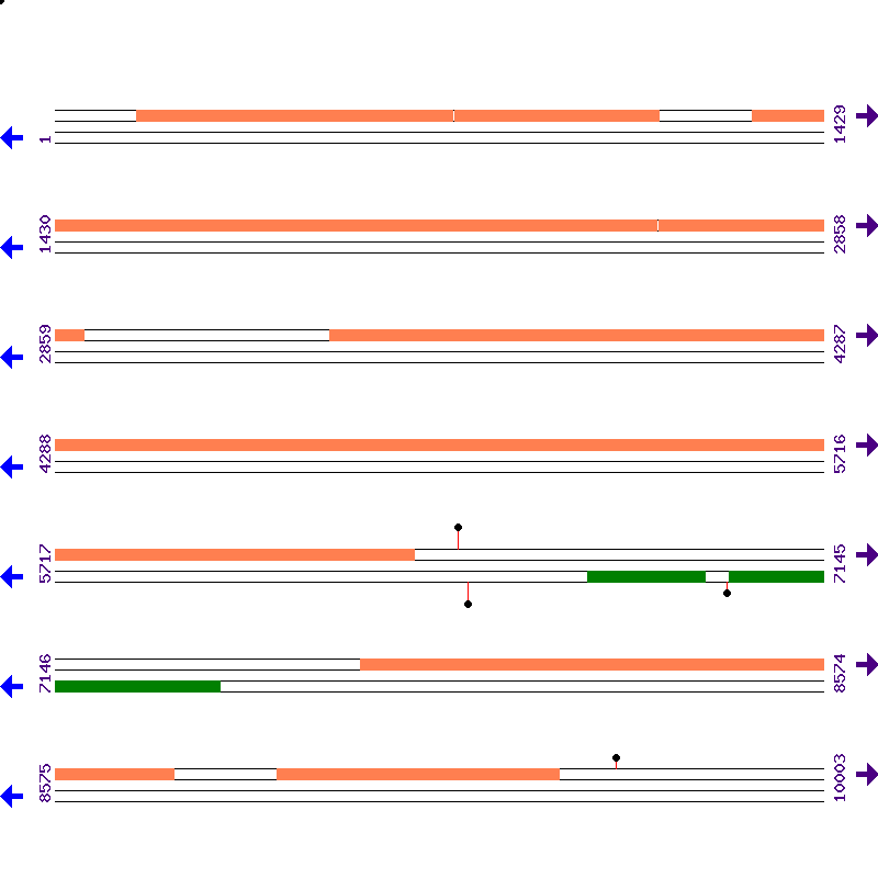 Genome View