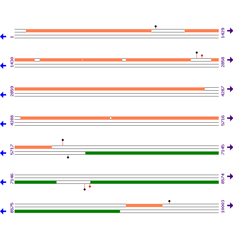 Genome View