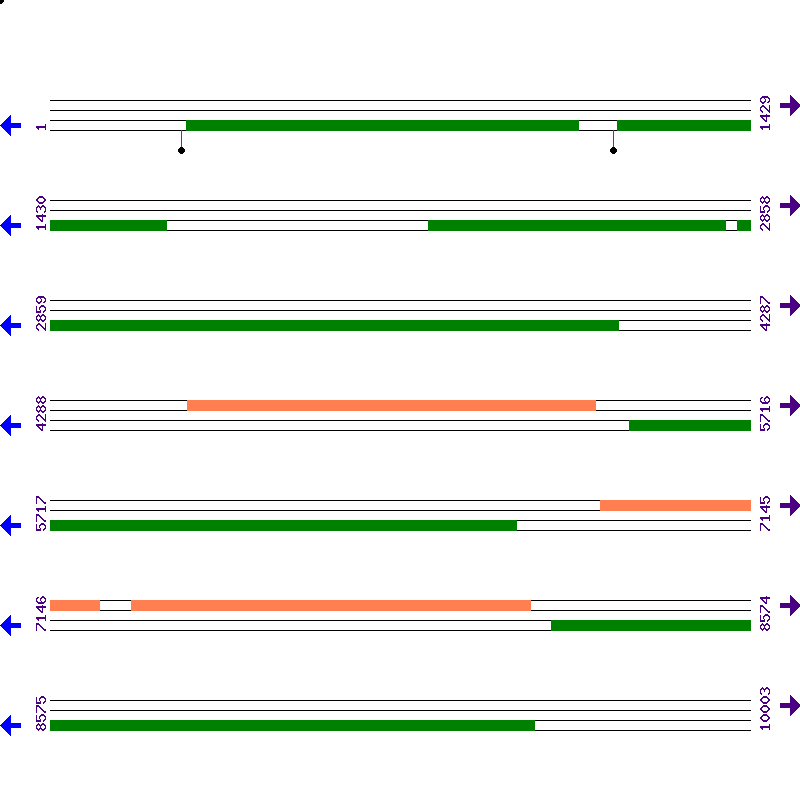 Genome View