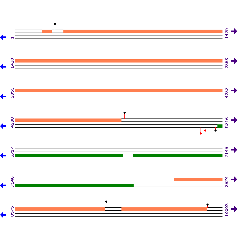 Genome View