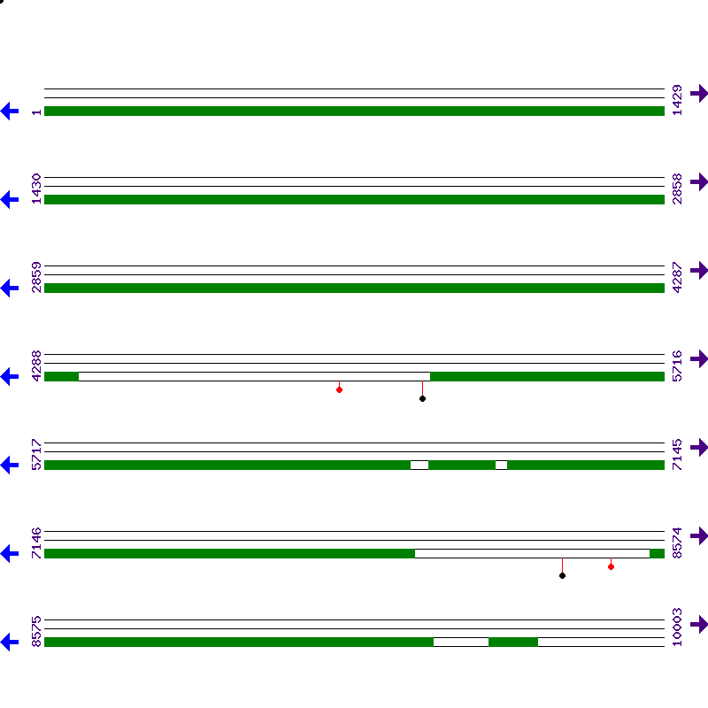 Genome View
