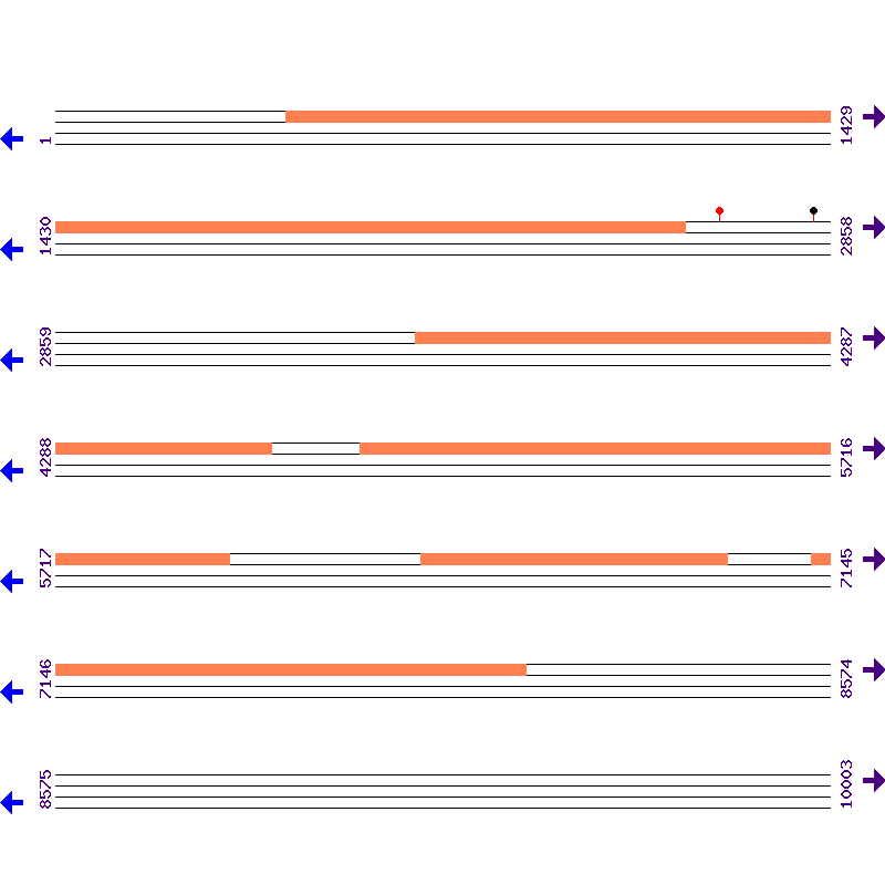 Genome View
