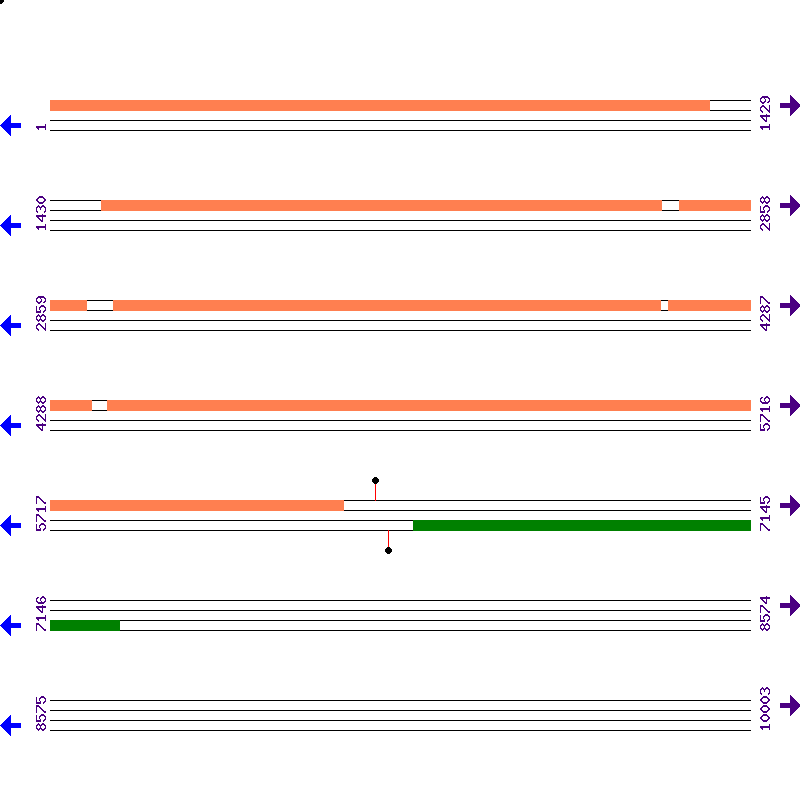 Genome View