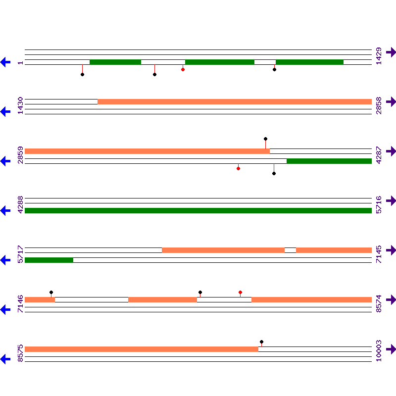 Genome View
