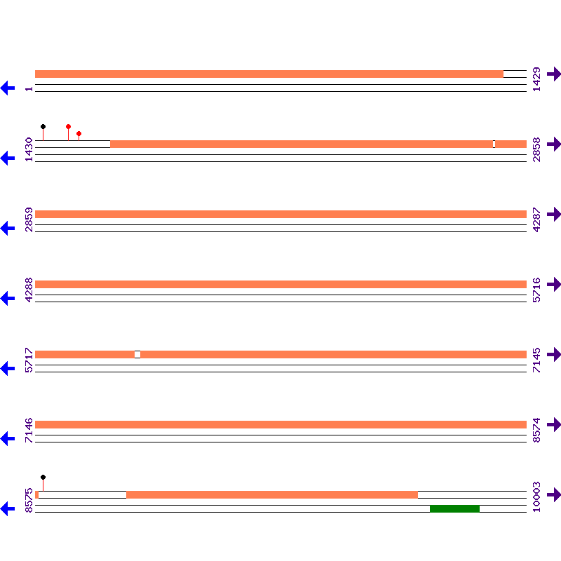 Genome View
