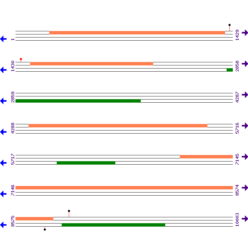 Genome View