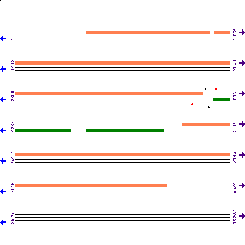 Genome View