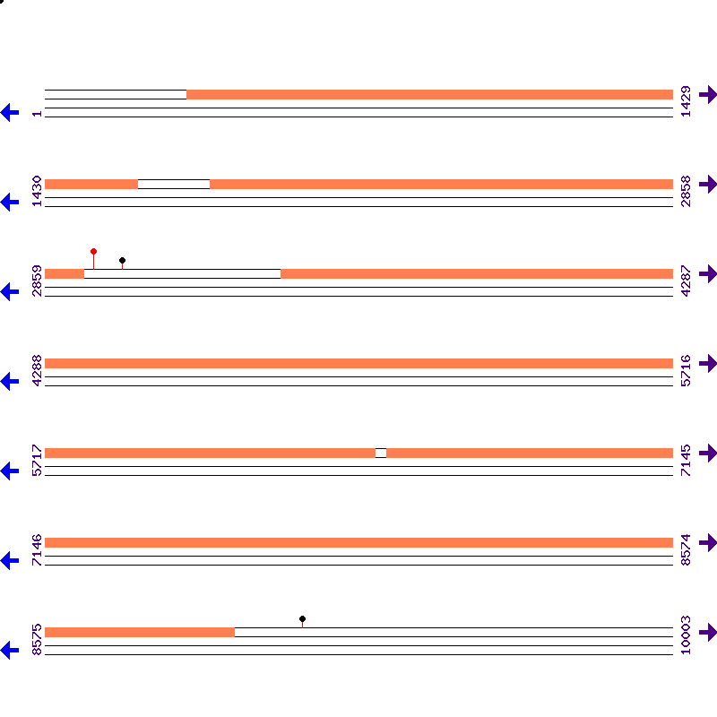 Genome View