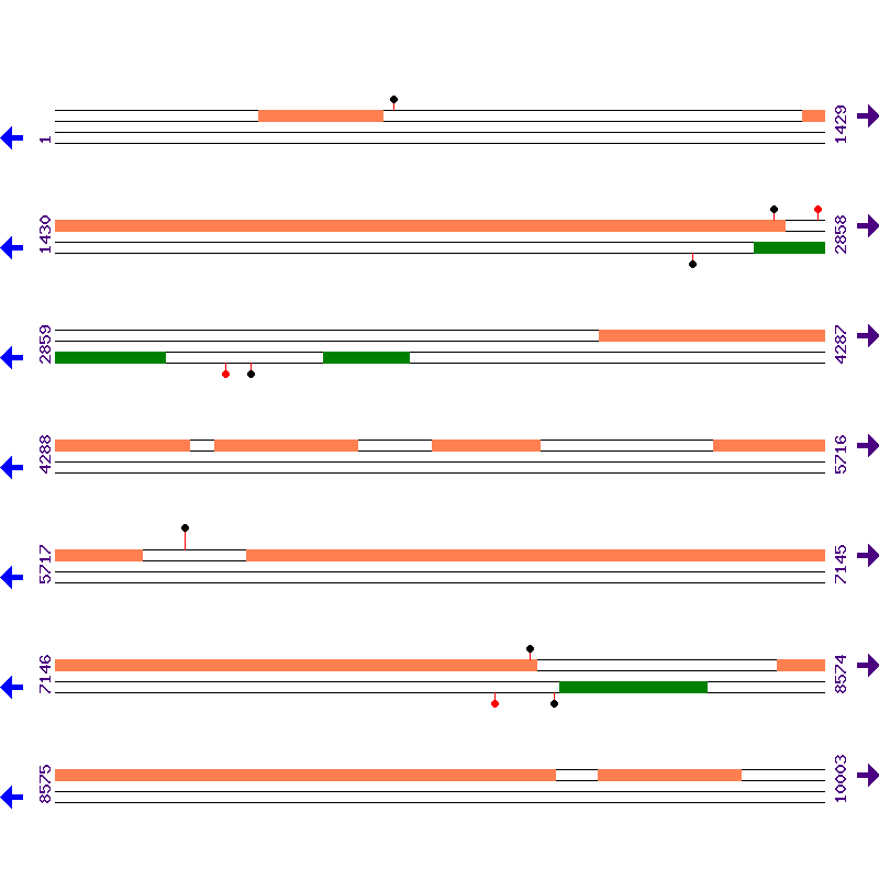 Genome View